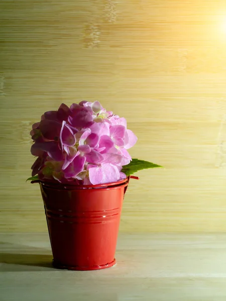 Pembe Ortanca Çiçek Ile Işık Kopya Yer Ahşap Arka Plan — Stok fotoğraf