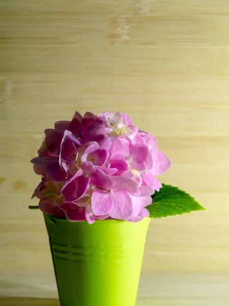 Close Pink Hydrangea Flower Green Bucket Copy Space Wooden Background — Stock Photo, Image