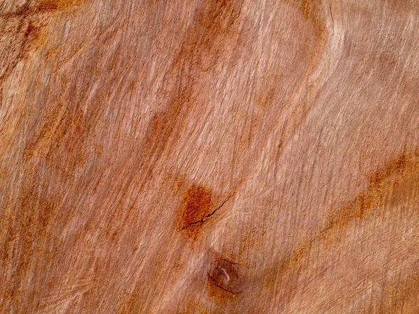 Textura Povrchu Eukalyptového Dřeva Pozadí Eukalyptus Globulus Labill — Stock fotografie