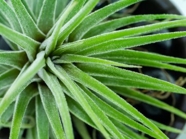 Tilland hava santralini kapatın.