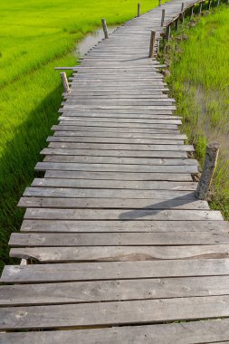 Ahşap yürüyüş yolu yeşil çim ile.