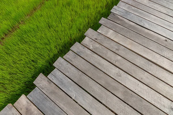 Tablón Madera Sobre Hierba Con Espacio —  Fotos de Stock