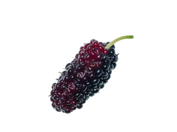 Närbild Mulberry Frukt Vit Bakgrund — Stockfoto