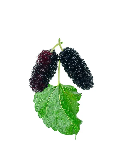 Närbild Mulberry Frukt Med Blad Vit Bakgrund — Stockfoto