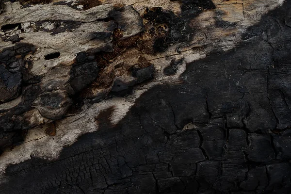 Половина Поверхні Деревного Вугілля Фону Зображення Фокусі — стокове фото
