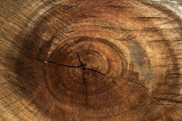 業界における木材の質感アップを閉じる — ストック写真