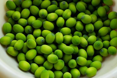 Lotus bitki tohumları kapatın.