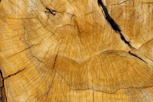 Close Texture Gialla Del Legno Industria — Foto Stock