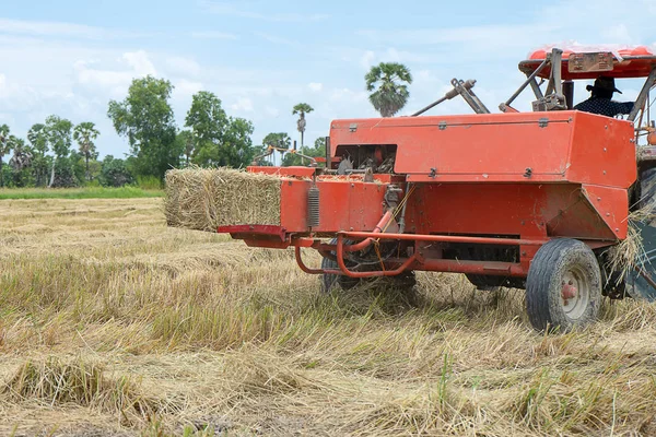 稻秆稻草机用于畜牧业 — 图库照片