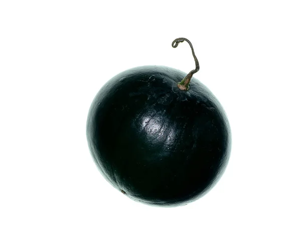 Gros Plan Des Fruits Pastèque Noire Sur Fond Blanc — Photo