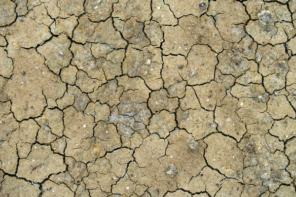 The surface of the arid soil.