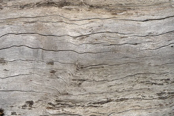 Textura Madera Pino Viejo — Foto de Stock