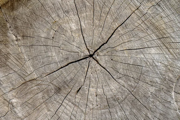 古い松の木材のテクスチャ — ストック写真