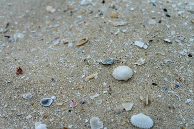 Sahilde kum arka plan dokusu.