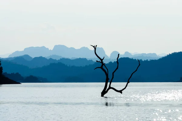 Silhouette Arbre Mort Dans Lac Avec Couche Montagne Bleue — Photo
