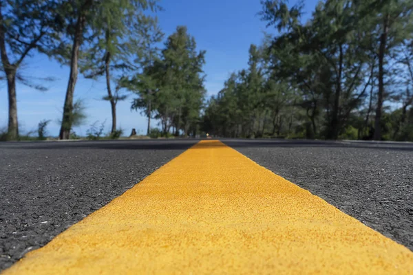 Línea Amarilla Carretera Con Desenfoque Pinos Cielo Azul —  Fotos de Stock