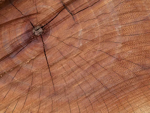 Detailní Záběr Texturu Dřeva Tmavě Hnědá — Stock fotografie