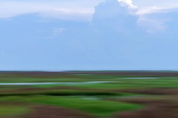 Motion Gräs Marken Våtmarker Med Himlen Södra Thailand Sjön Songkhla — Stockfoto