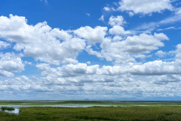 Zone Umide Con Cielo Nel Sud Della Thailandia Lago Songkhla — Foto Stock