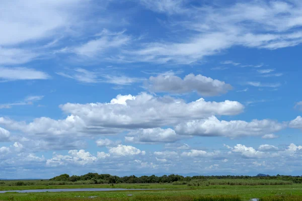 Humedales Con Cielo Sur Tailandia Lago Songkhla — Foto de Stock