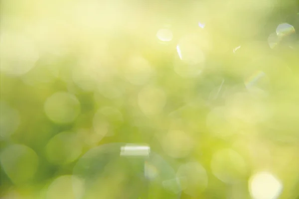 Fondo Borroso Verde Con Luz Solar Luz Bokeh — Foto de Stock