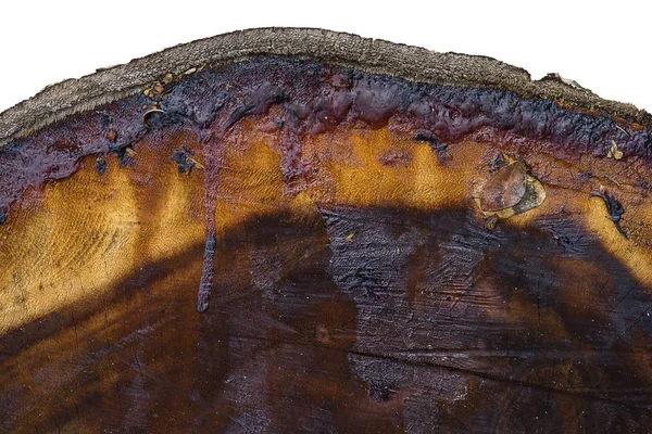 Cerca Textura Madera Marrón Oscuro Con Goma Color Ámbar Sobre — Foto de Stock