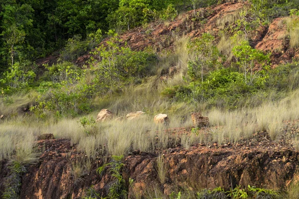 Dry Grass Mountain — Stock Photo, Image