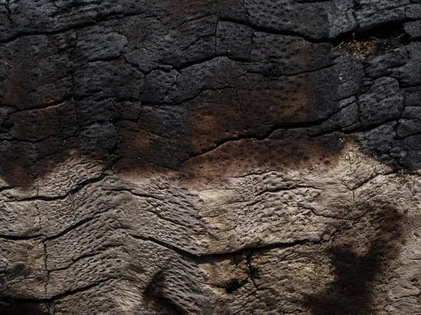Επιφάνεια Του Υπόβαθρο Ξυλάνθρακα Ξύλο Υφή — Φωτογραφία Αρχείου