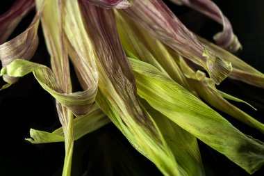 Siyah arka plan üzerine yakut Mısır kabuğu kadar kapatın.