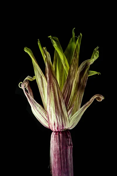 Detailní Záběr Koruny Siam Ruby Královna Kukuřice Černém Pozadí — Stock fotografie