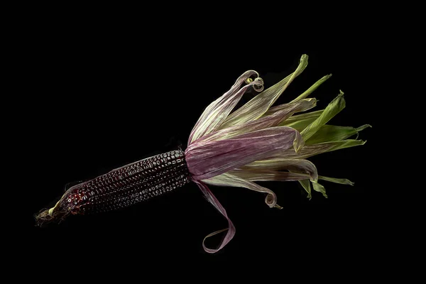 Закрыть Семена Кукурузы Ruby Черном Фоне — стоковое фото