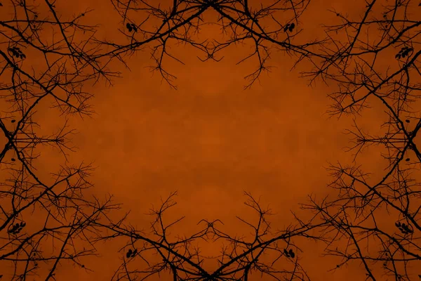 Abstraktní Silueta Větve Oranžovým Pozadím — Stock fotografie