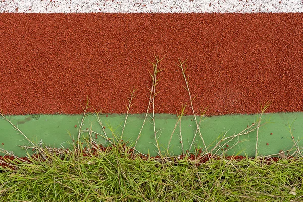 Nahaufnahme Von Gras Auf Dem Boden Des Laufbands Stadion — Stockfoto