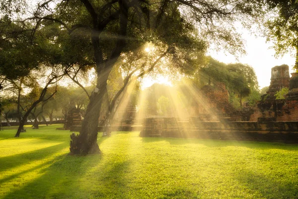 Árbol Con Niebla Luz Solar Antiguo Paisaje Provincia Ayutthaya Una — Foto de Stock