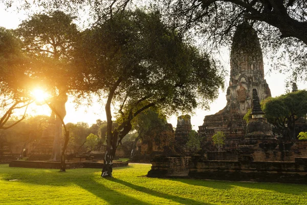 Árbol Con Sombra Luz Solar Antiguo Paisaje Provincia Ayutthaya Una — Foto de Stock