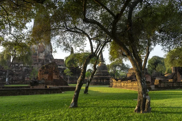 Árbol Antiguo Paisaje Provincia Ayutthaya Una Atracción Turística Tailandia Ciudad — Foto de Stock
