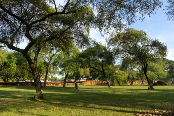 Landscape Ancient Palace Garden Wat Phra Sanphet Temple Ayutthaya Tourist — Stock Photo, Image