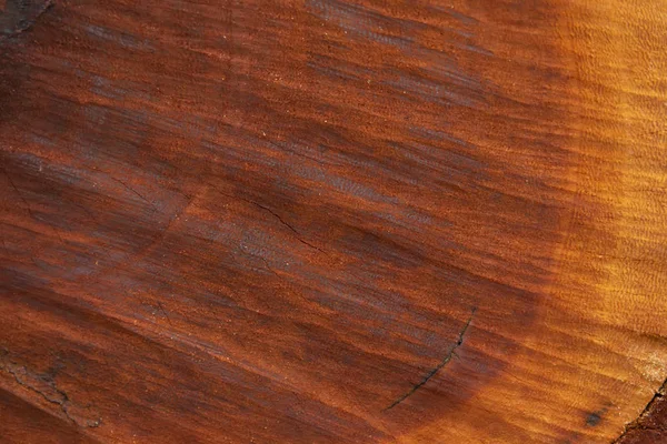 Tekstura Głęboko Brązowy Drewna — Zdjęcie stockowe
