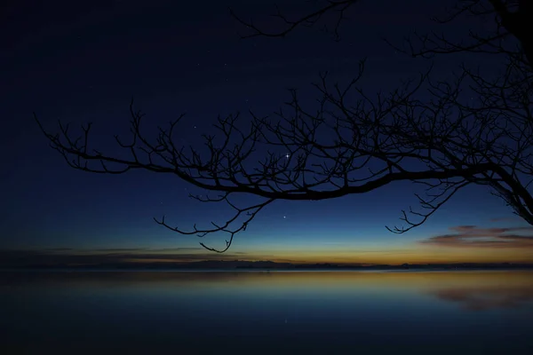 Silhouettenzweig Mit Dämmerhimmel Und Erstem Stern See — Stockfoto