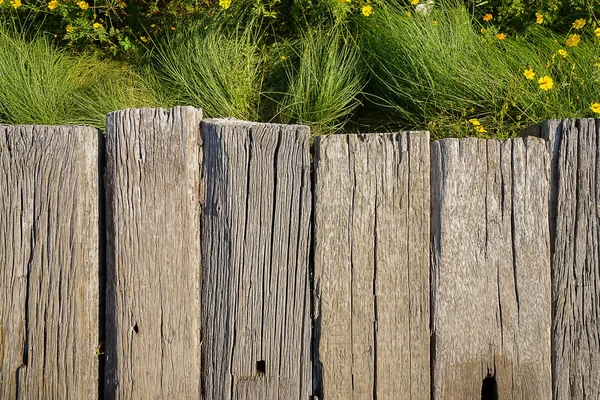 Παλιά ξύλινα διάδρομος με φόντο φυτών. — Φωτογραφία Αρχείου
