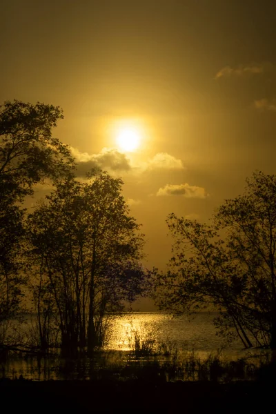 Siluett träd med solnedgång sky — Stockfoto
