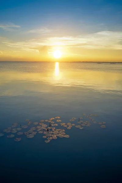 Puesta de sol en el lago en la hora dorada . —  Fotos de Stock