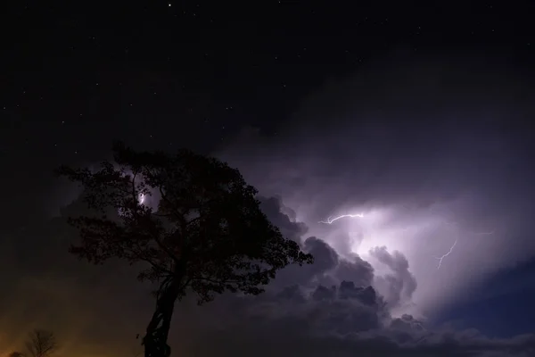 夜中的剪影树与雨云 — 图库照片