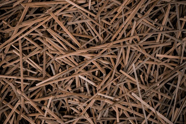 Close up of dry sedge plant — Stock Photo, Image