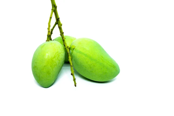 Close up Green Mangifera indica mango — Stock Photo, Image