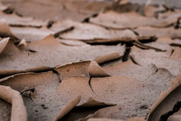 Close up dry soil in summer background.