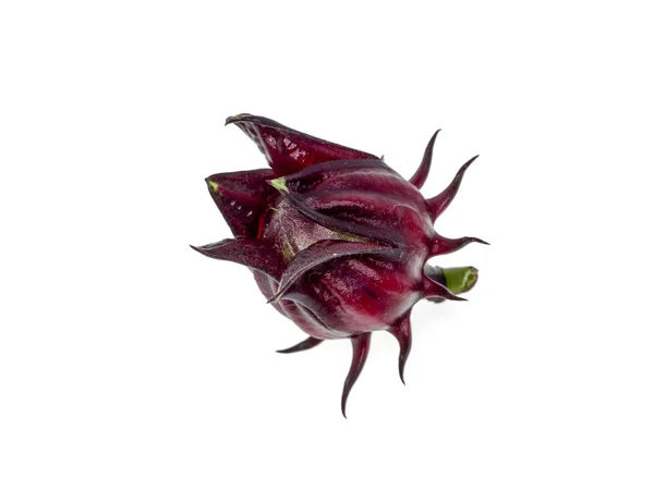 Hibiscus sabdariffa roselle gyümölcs — Stock Fotó