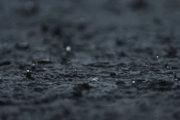 Caída de lluvia en el suelo en temporada de lluvias. —  Fotos de Stock