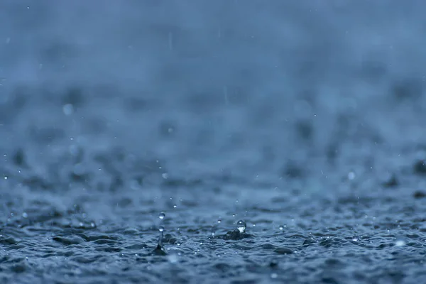 Déšť padá na zem v období dešťů. — Stock fotografie
