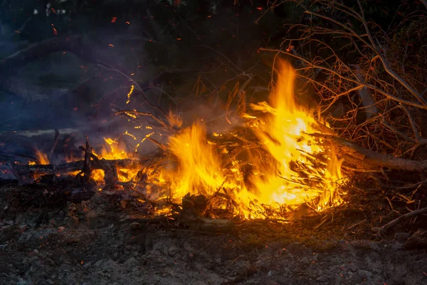 Rörelsen av löpeld på marken. — Stockfoto